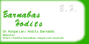 barnabas hodits business card